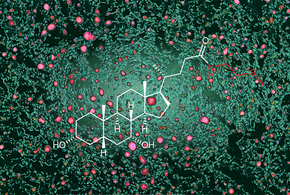 pink fat droplets in liver tissue with a chemical structure superimposed on it