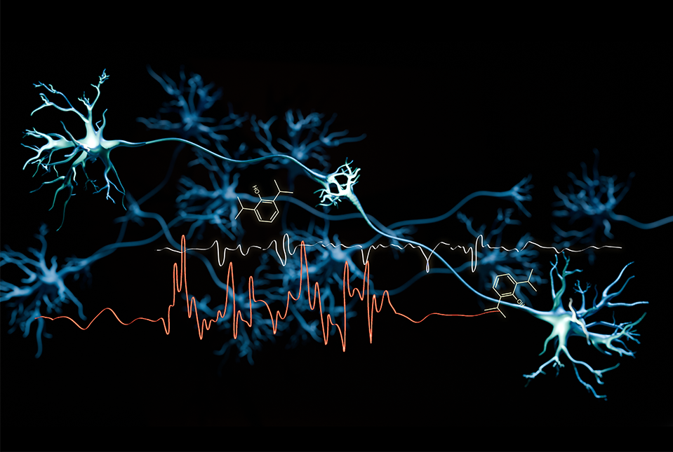 image of neurons with EEG trace and chemical structure superimposed on them