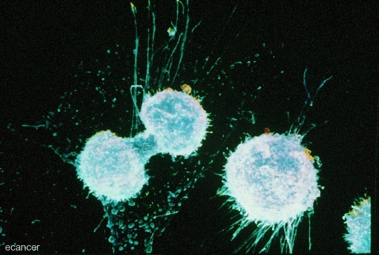 white cells on a black background
