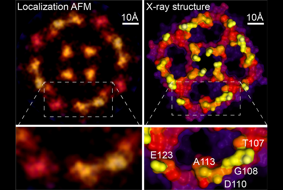 image of crystal structure and atomic force microscopy results