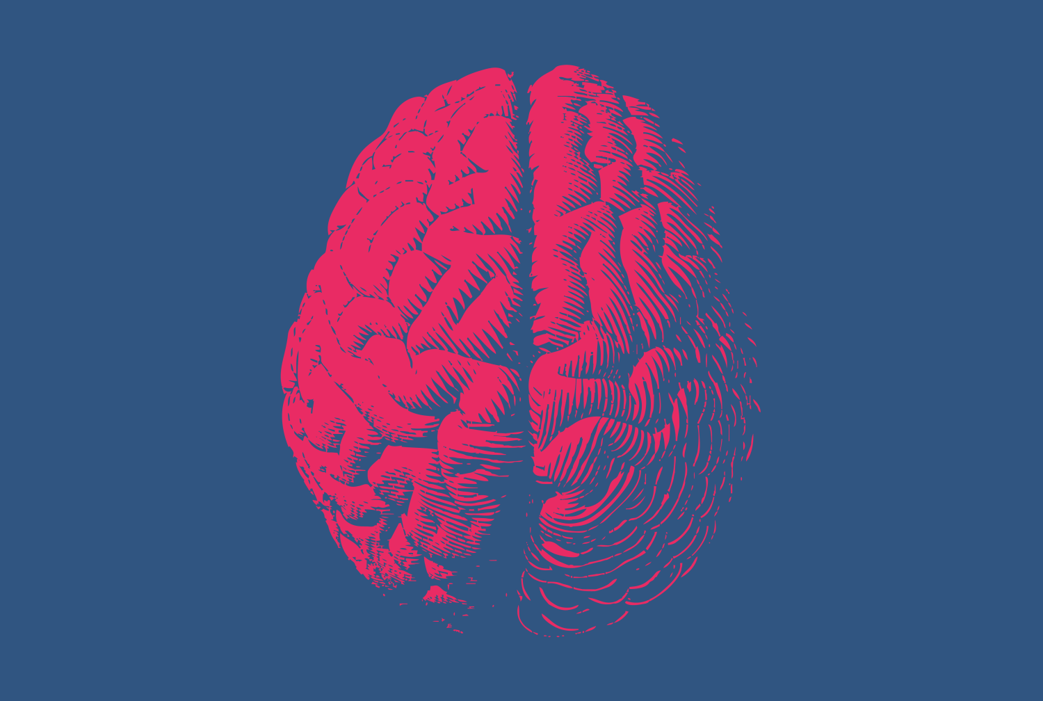 drawing of brain in red ink on blue background