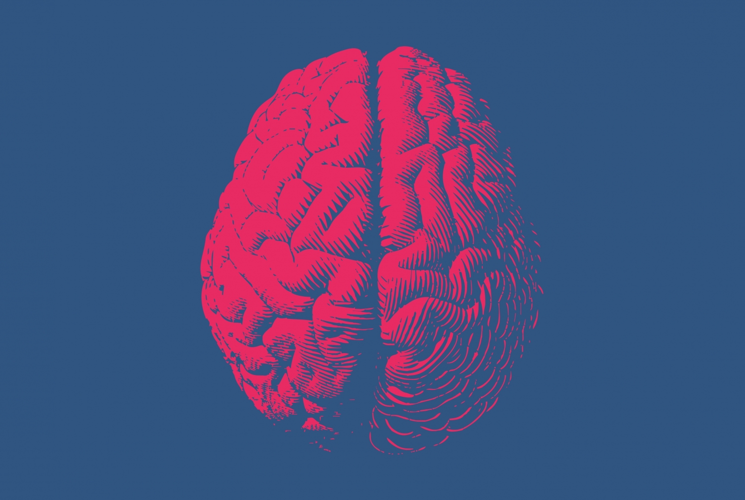 stock image of brain