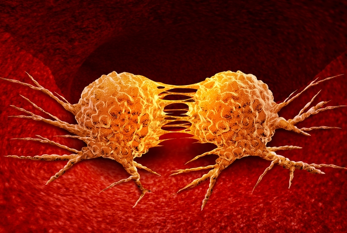 image of cancer cells dividing