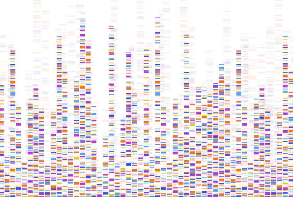 Genome sequence map.