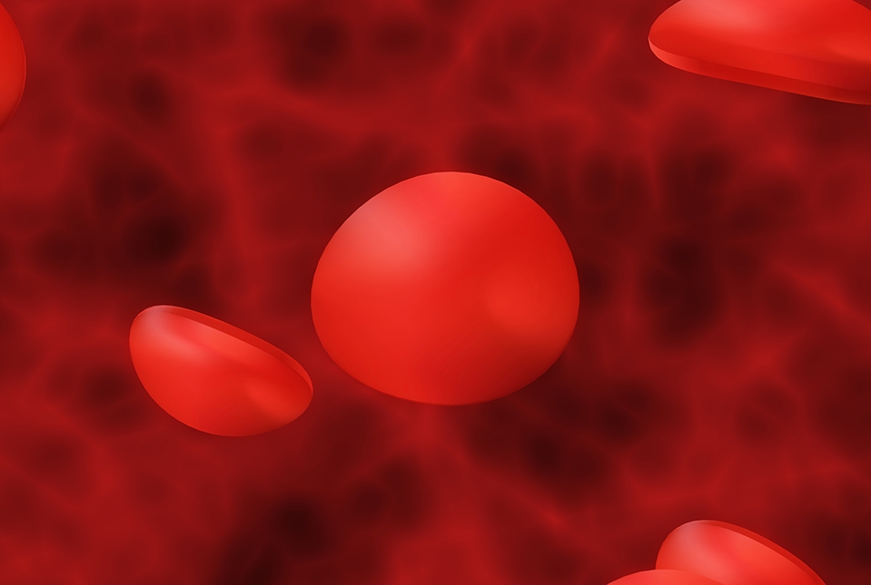 Red blood cells in vein 3D illustration