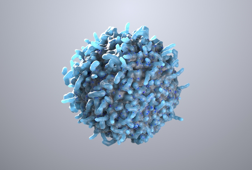 illustration of a T cell