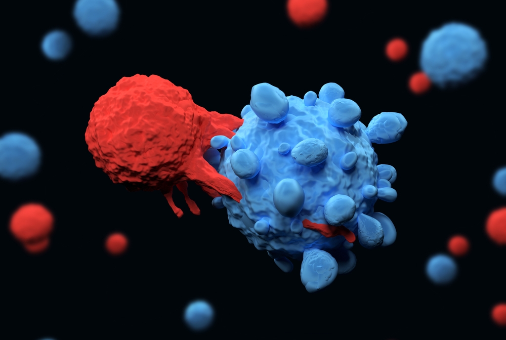 illustration of t cells
