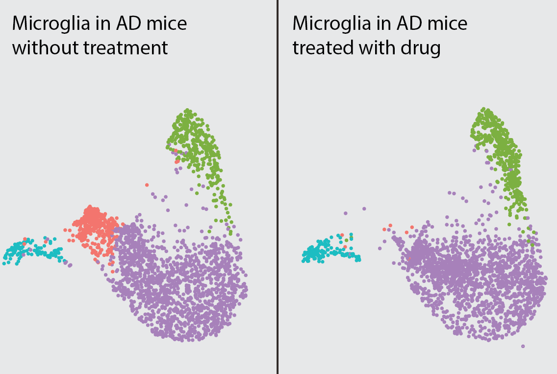 multicolor dots representing different microglial cell states