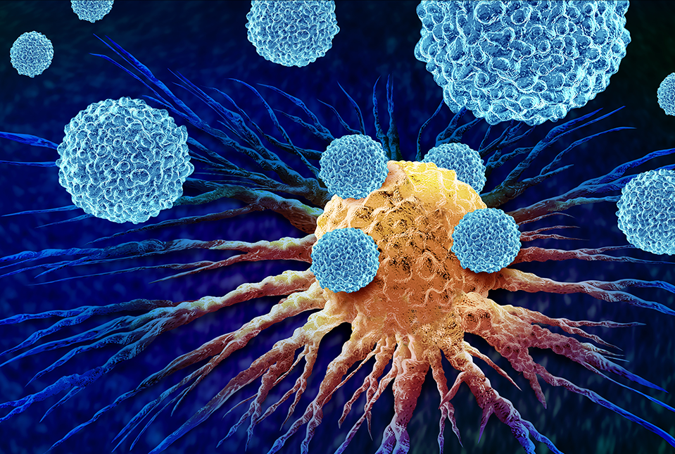 T cells attacking cancer