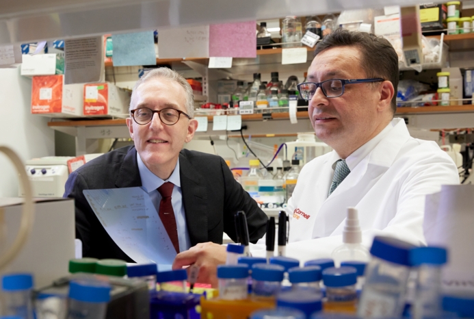 Drs. Jedd Wolchok and Taha Merghoub in a lab