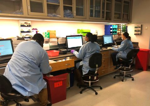 doctors working in a testing lab on computers