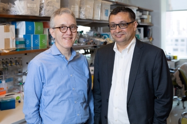 Merghoub and Wolchok