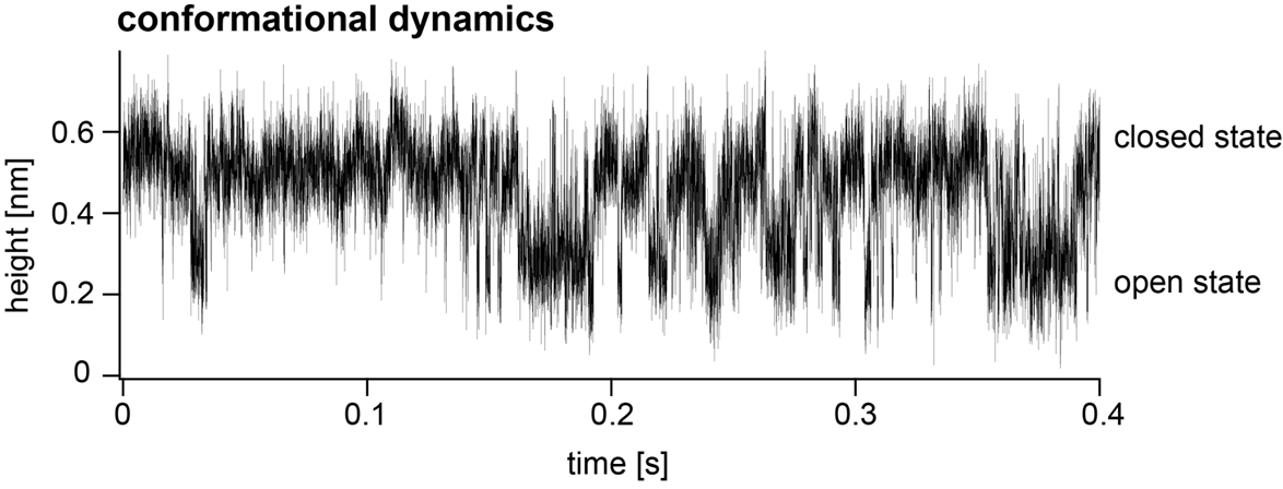 graph showing speed of microscopy recordings